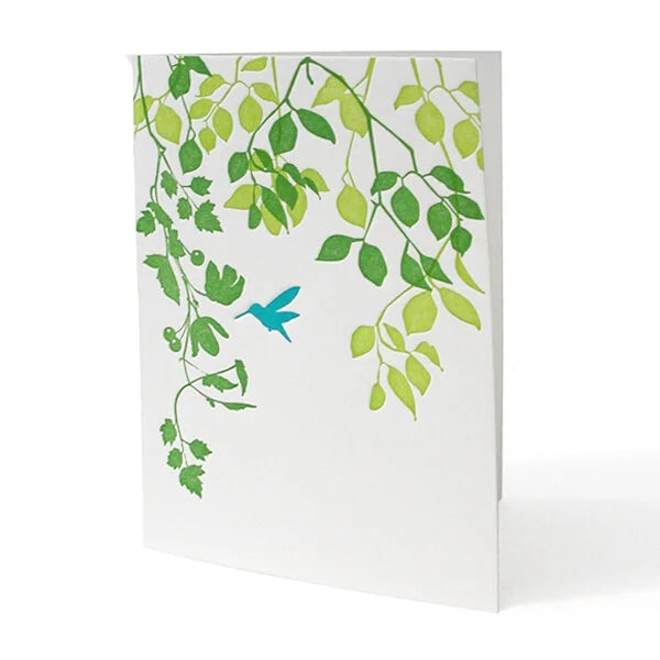 4B-31B Hummingbird Set of 6 Letterpress Notecards